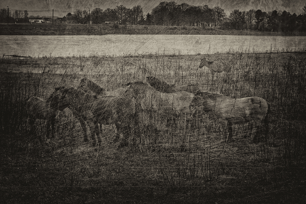 test-textures-artzwartw13KLEIN