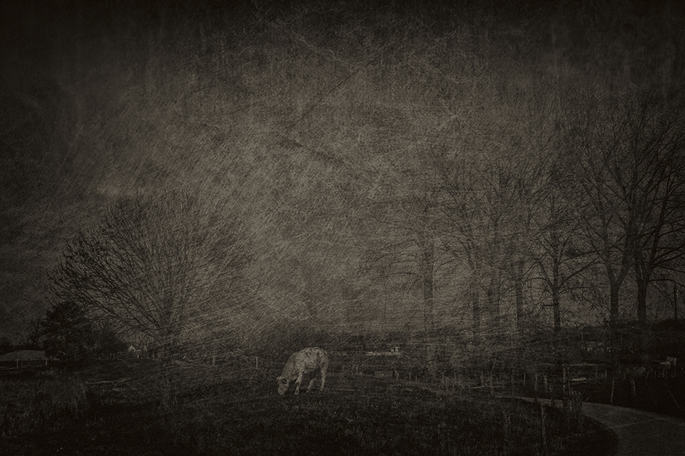 test-textures-artzwartw6KLEIN